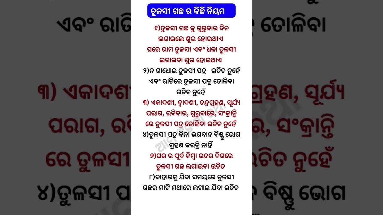 Tulasi Gachaku Gurubaar Dina Lagaele Sunha Hoethae #tulsi