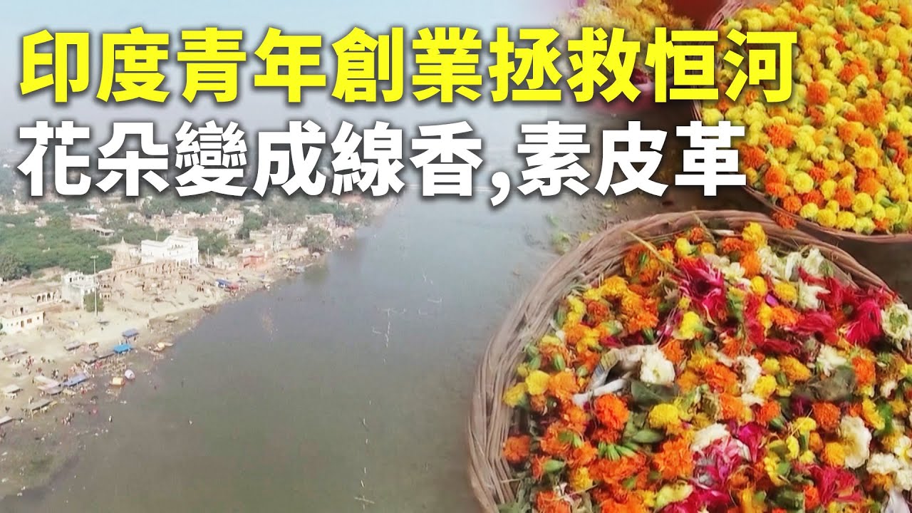印度青年創業拯救恒河 花朵變成線香,素皮革 - 環保再利用 - 新唐人亞太電視台