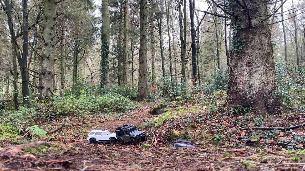 Traxxas TRX4 Defenders VS Element RC Enduro Trailrunner RTR