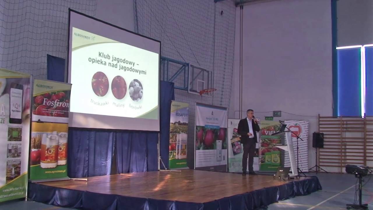 Konferencja truskawkowa - Robert Binkiewicz
