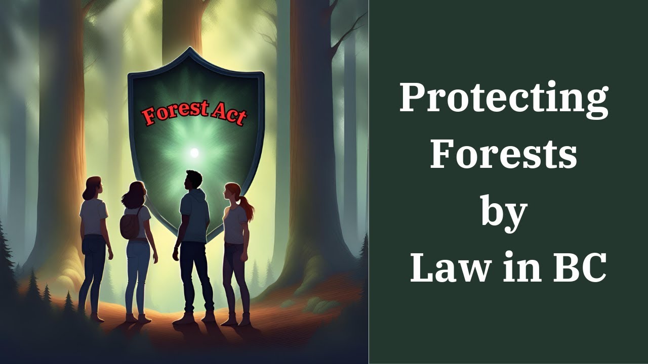 Why forests?  Grassroots Campaign to Protect Forests by Law in British Columbia, Canada