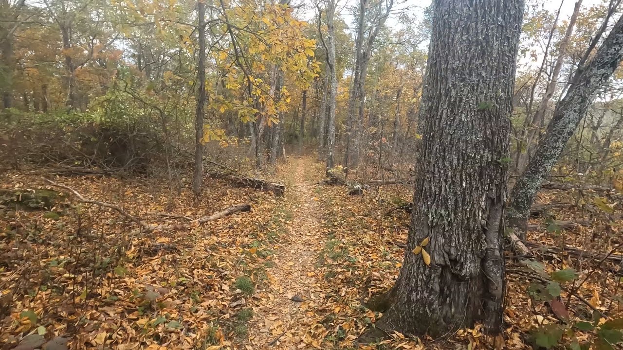 Autumn in Appalachia ~ A Beautiful Hike Along the Mountaintop