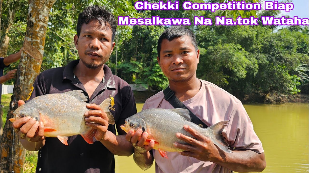 Chekki Competition Biap Mesalkawa Nabang Bazar Iana Na.tok Wataha Date/14/10/2025 Re.barimbo
