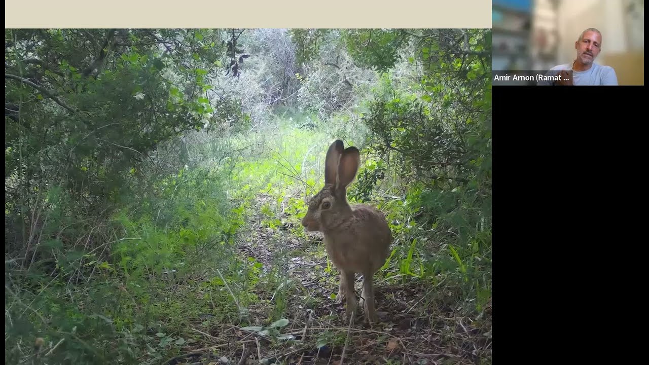 חי בטבע – מפגש זואולוגי עם ד”ר אמיר ארנון