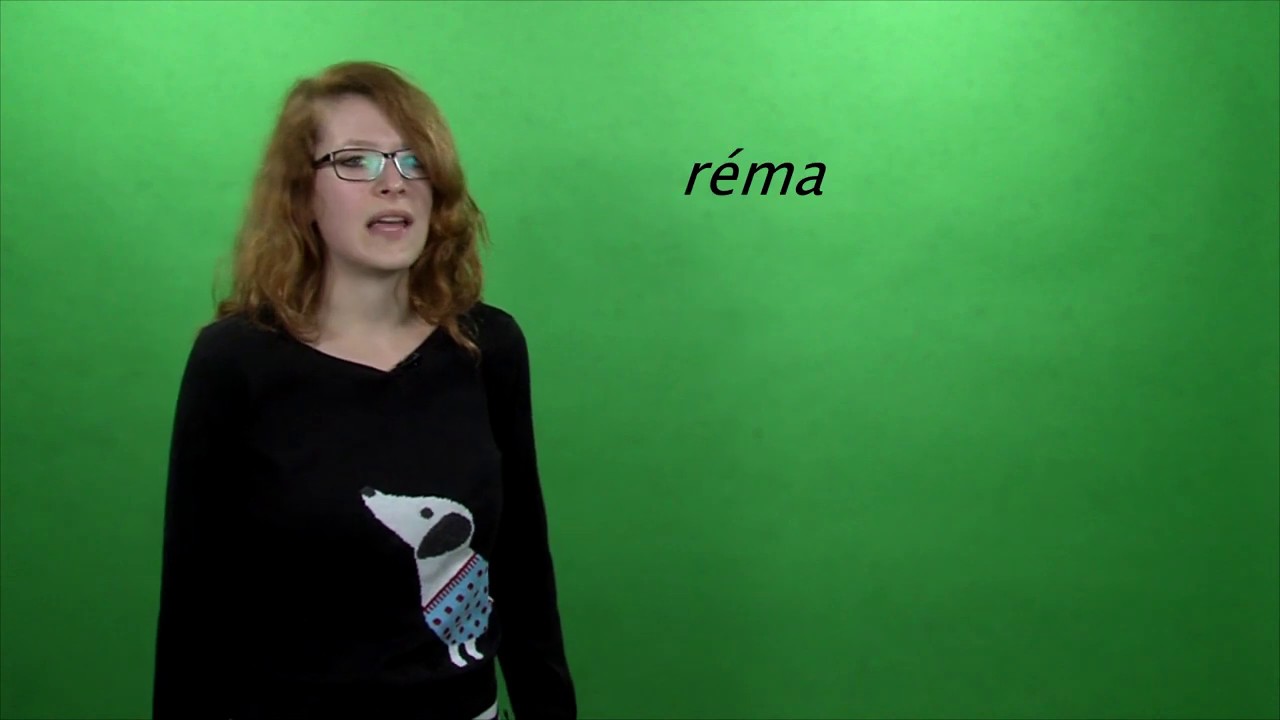 28 Syntax: Slovosled a aktu&aacute;ln&iacute; členěn&iacute;