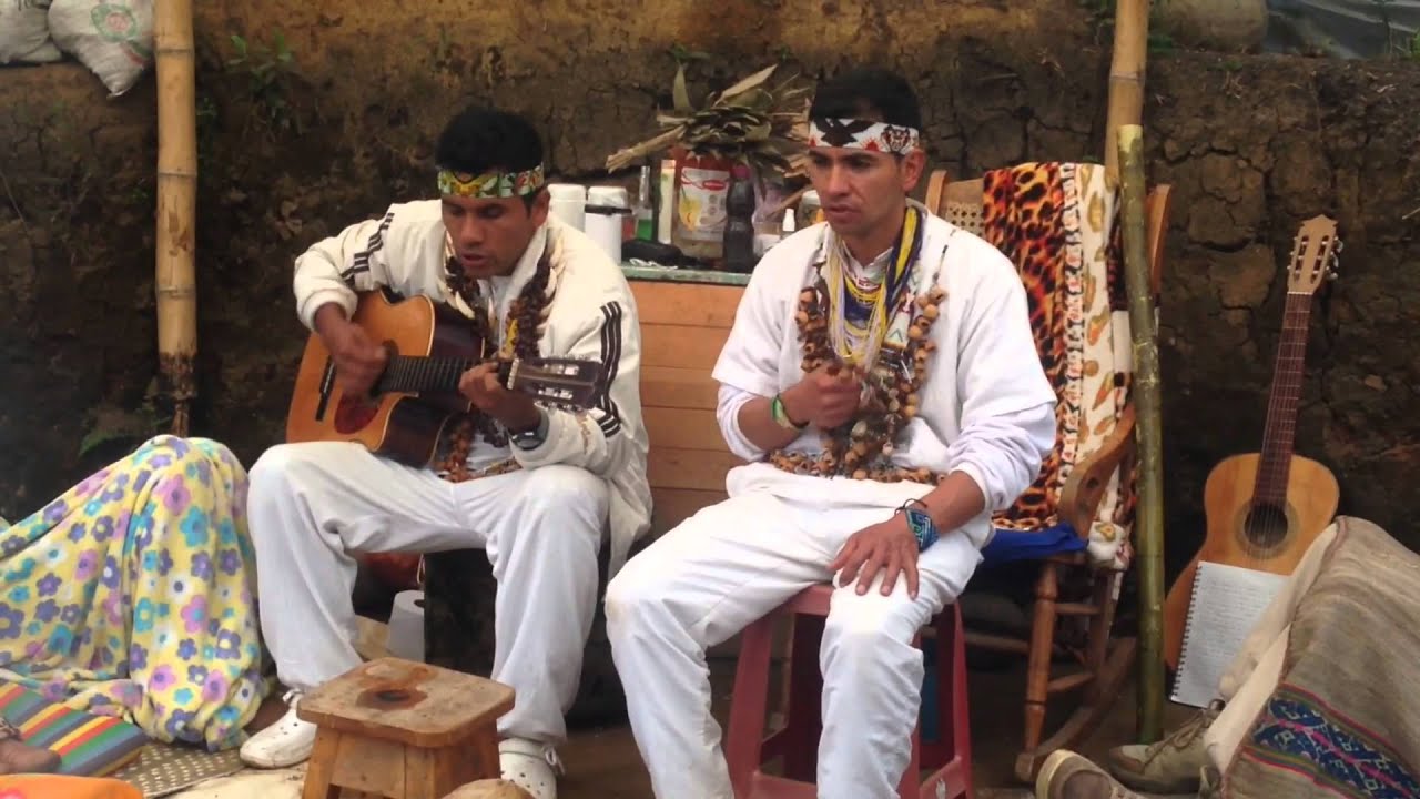 Taita Henrry Muchavisoy - Musica medicina