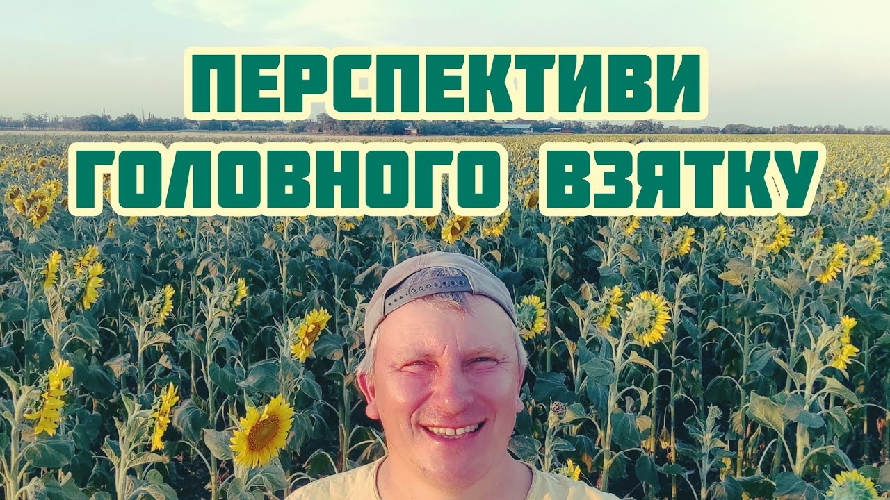 ✅Прогноз щодо медозбору із соняшнику