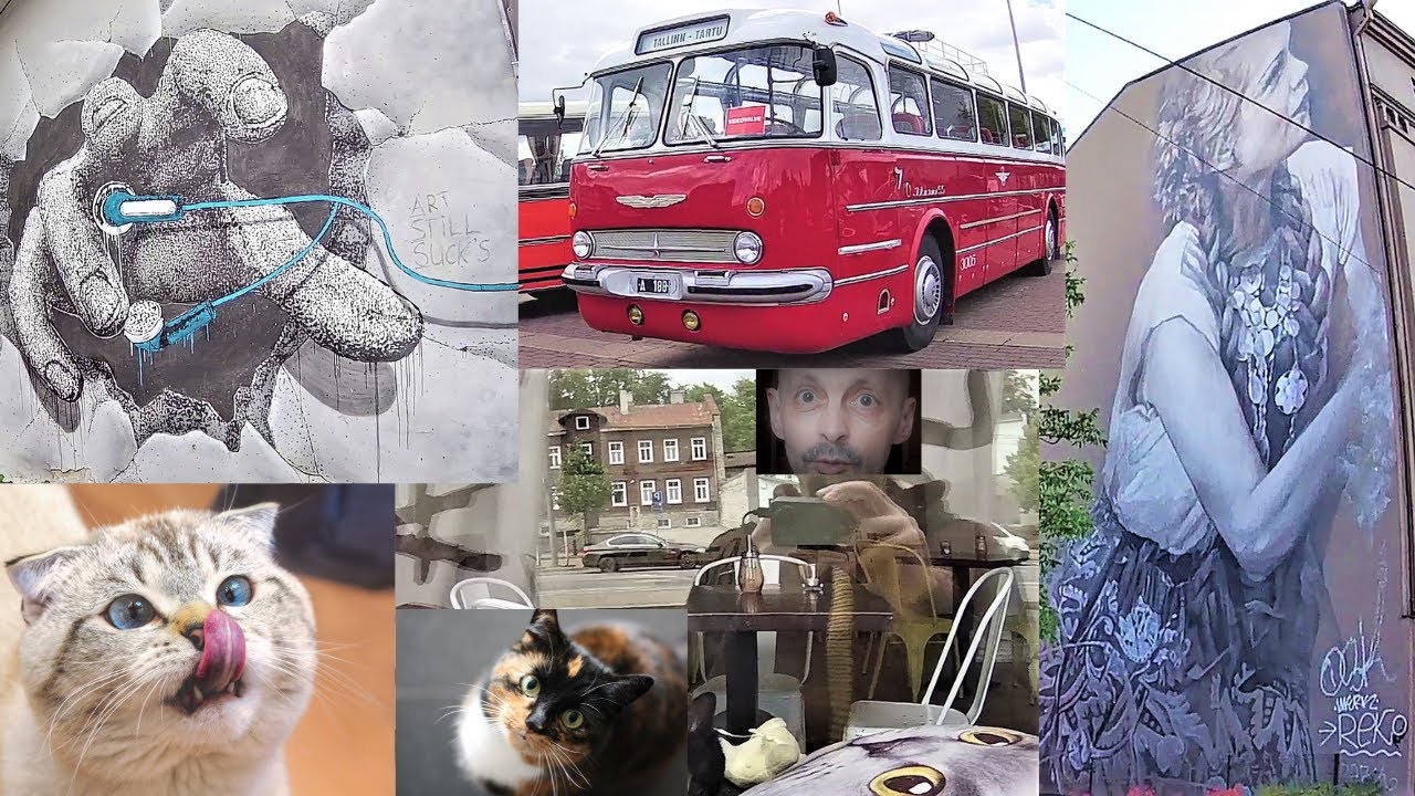A CAT CAFE IN TALLINN. VINTAGE CLOTHING, BUSES, TRAMS + STREET ART, ON A WALK TO TALLINN BUS STATION
