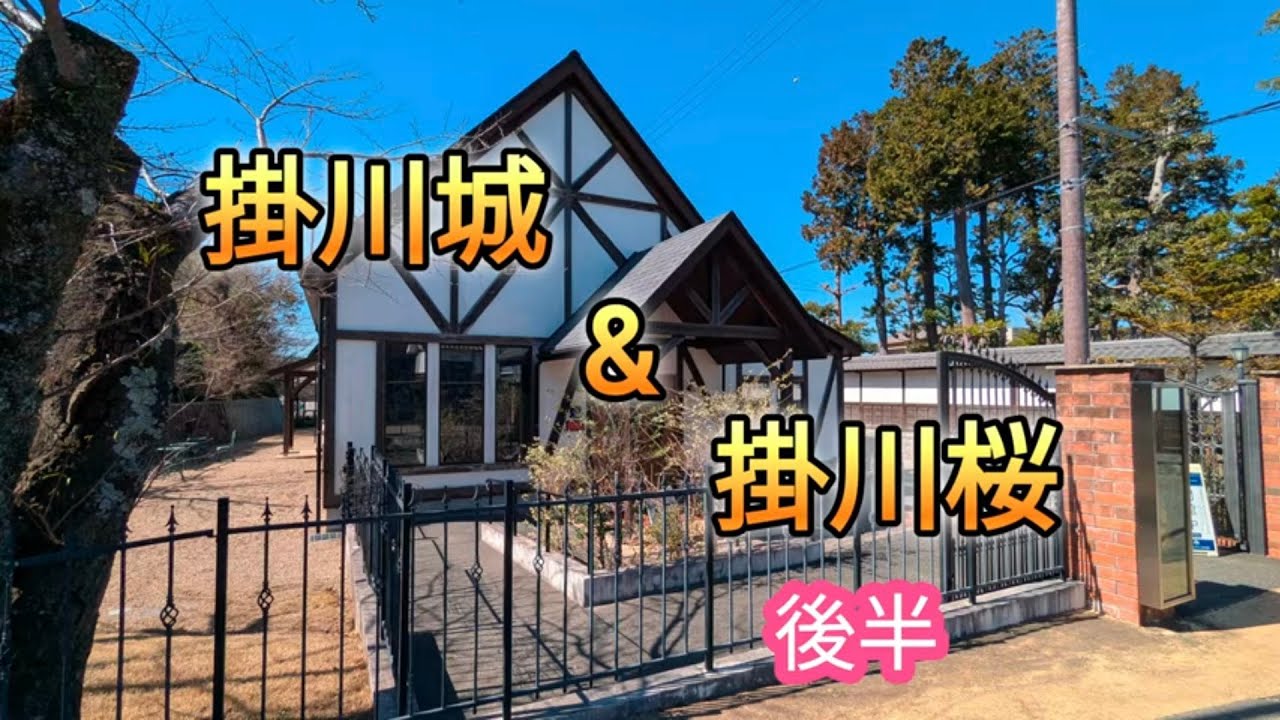 【掛川城と掛川桜後編】#ステンドグラス美術館から#二の丸御殿