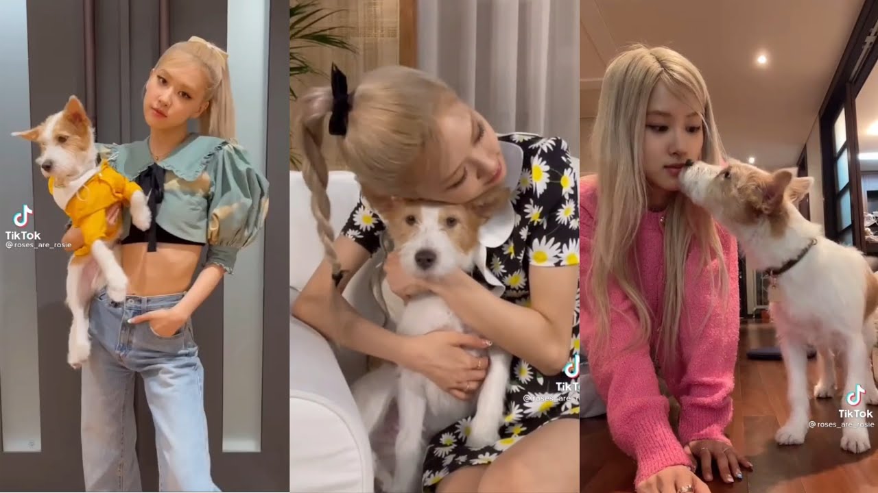 Rosé Tiktok Compilation feat. Hank 🐶