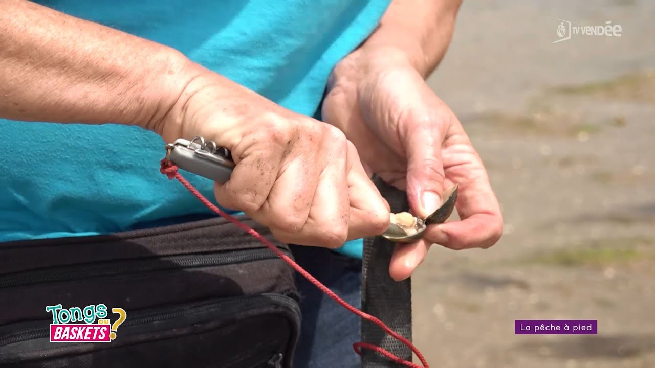Tongs ou baskets ? La pêche à pied avec l’association APLAV de Noirmoutier
