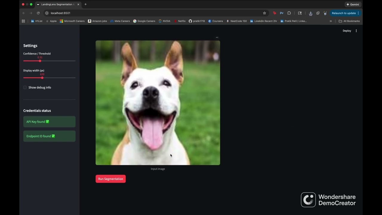Landing Lens Segmentation App