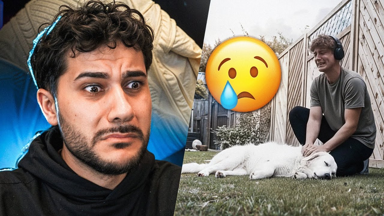 Versuche Bei Diesem Video Nicht zu Weinen…