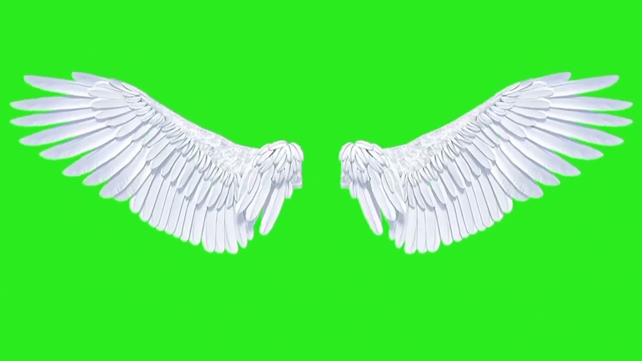 Wings    | Green Screen: Chroma Key Full 1080p HD