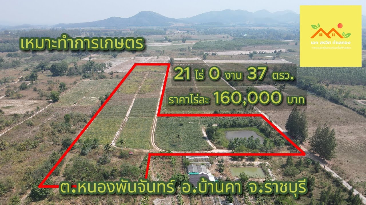 เอกสรวิศ EP.46 ขายที่ดินราคาถูก วิวเขามีเพื่อนบ้าน มีสระน้ำในที่ ต.หนองพันจันทร์ อ.บ้านคา จ.ราชบุรี