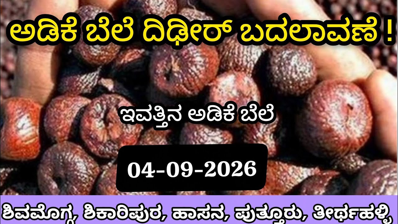 😍 Arecanut price increase in Shivamogga / 04-09- 2026 / Arecanut price rate Today/ By Kannada Angel 