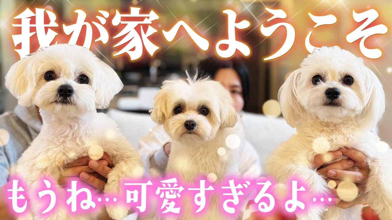 【我が家へようこそ】もうね&hellip;可愛すぎるよ&hellip;