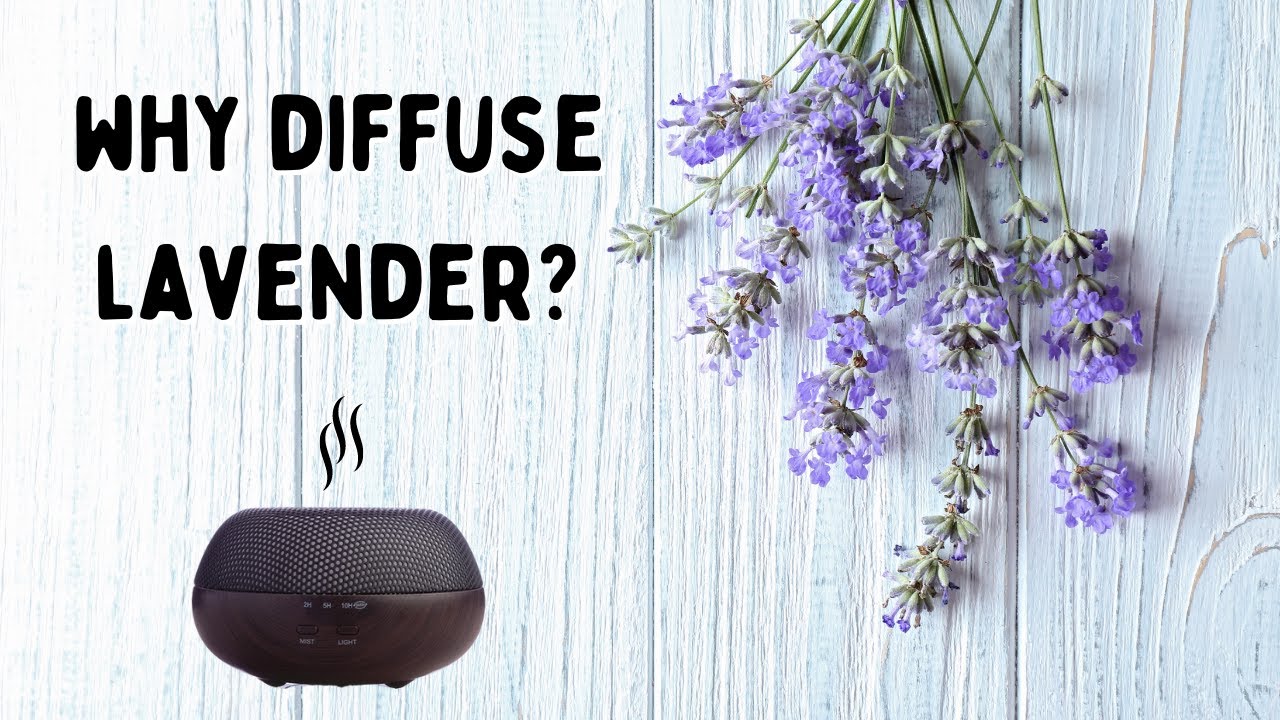 4 Benefits of Lavender Essential Oil in A Diffuser