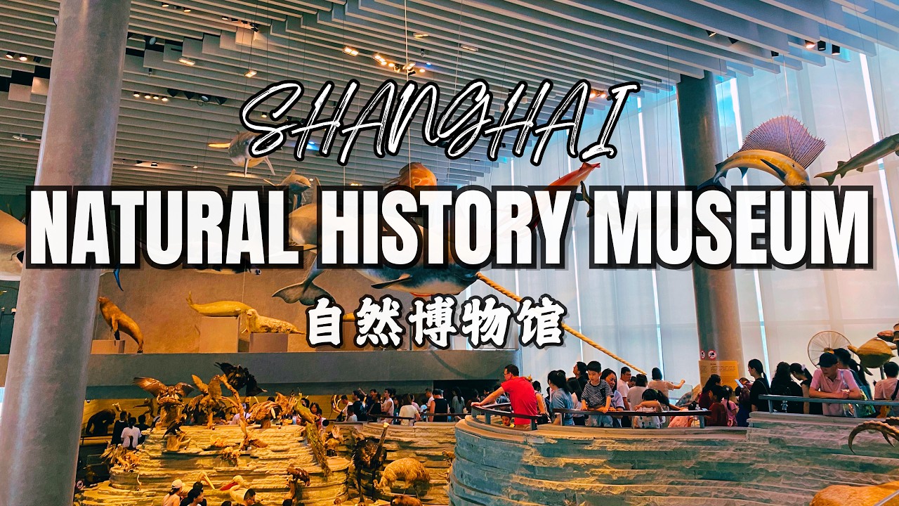Shanghai Natural History Museum: A Journey Through Time & Nature | 11,000+ Specimens