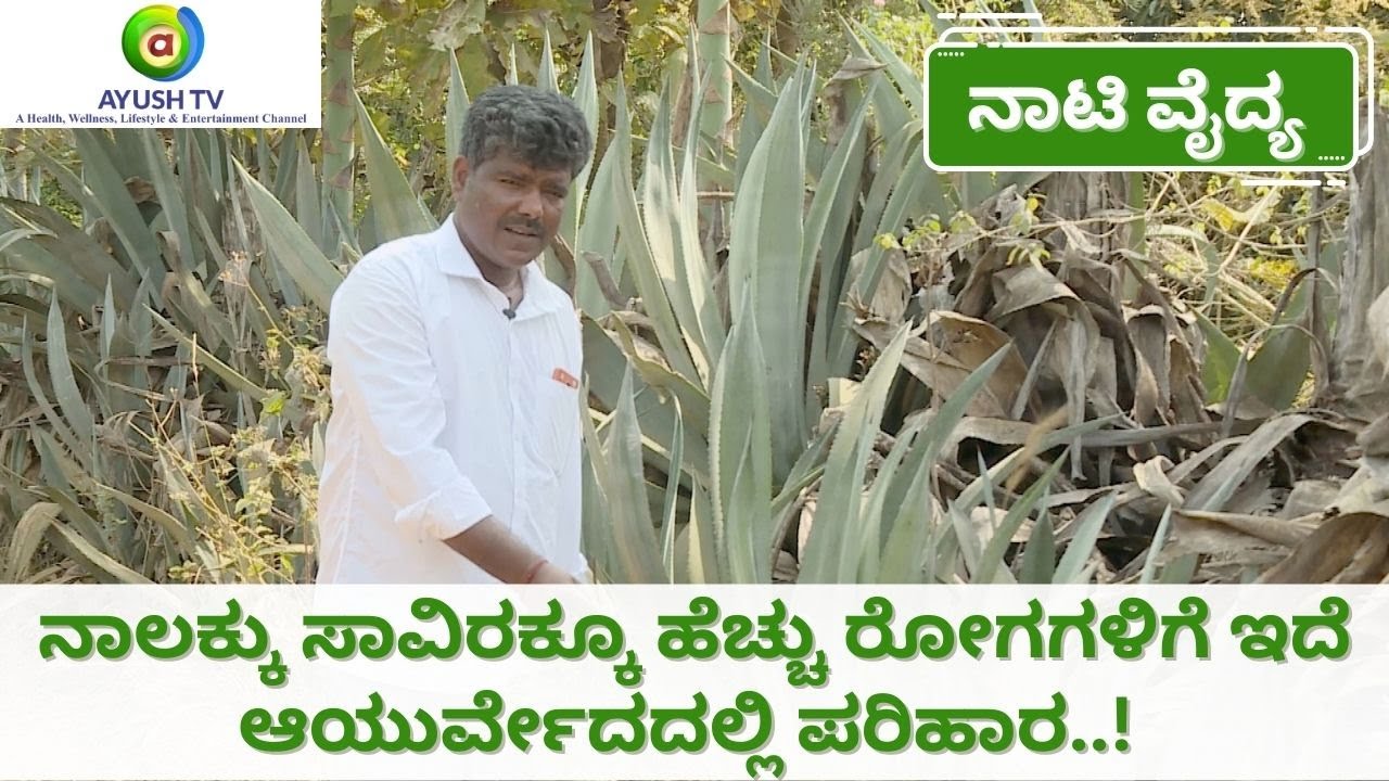 ನಾಲಕ್ಕು ಸಾವಿರಕ್ಕೂ ಹೆಚ್ಚು ರೋಗಗಳಿಗೆ ಇದೆ ಆಯುರ್ವೇದದಲ್ಲಿ ಪರಿಹಾರ..! | Ayush TV #ayushtv #naativaidya