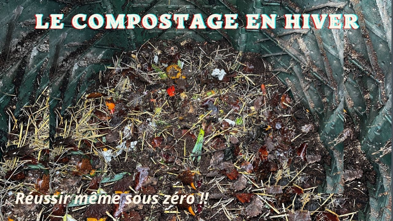 Le Compostage en Hiver : Réussir même sous zéro !!