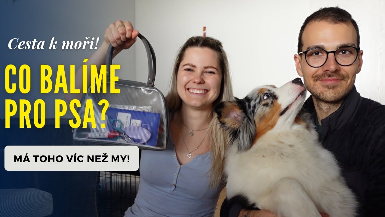 Výbava pro psa🐶 na dovolenou k moři🌊