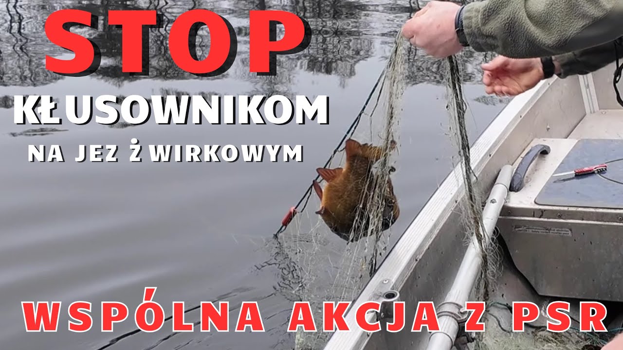 STOP KŁUSOWNIKOM ! Wspólna akcja PSR & Ratuj Ryby na jez. Żwirkowym