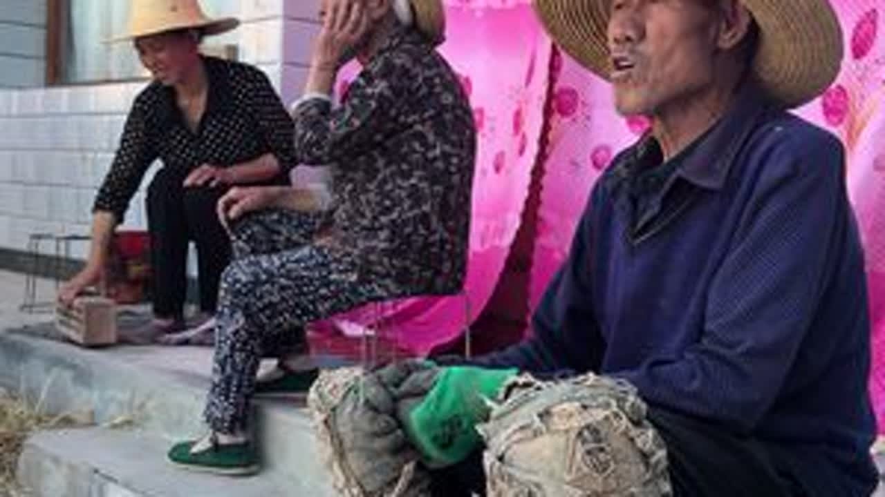 明明天气很好，一下子变得乌云密布，大雨倾盆，麦子都下在雨里面了#我的乡村生活 #原创视频 #三农