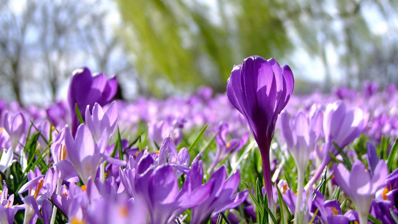 Het is lente