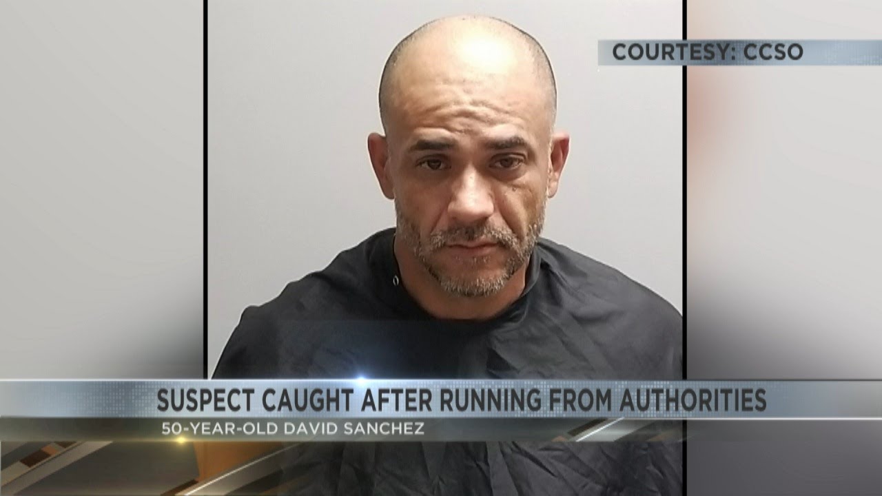 Suspect caught after smuggling undocumented immigrants