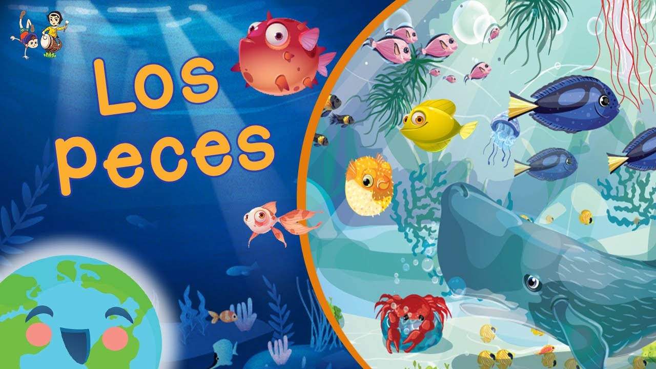Los Peces para Niños (Videos Educativos para Niños)