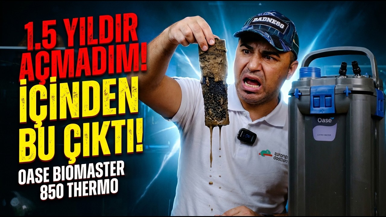 Bu Filtre 1.5 Yıl Açılmadı! Sonuç Şok Edici | Oase Biomaster 850 Thermo Detaylı İnceleme