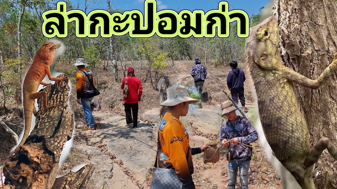 Ep: 1330 ยกทีมงานมาเลาะค้องกะปอม หมานๆพี่น้อง