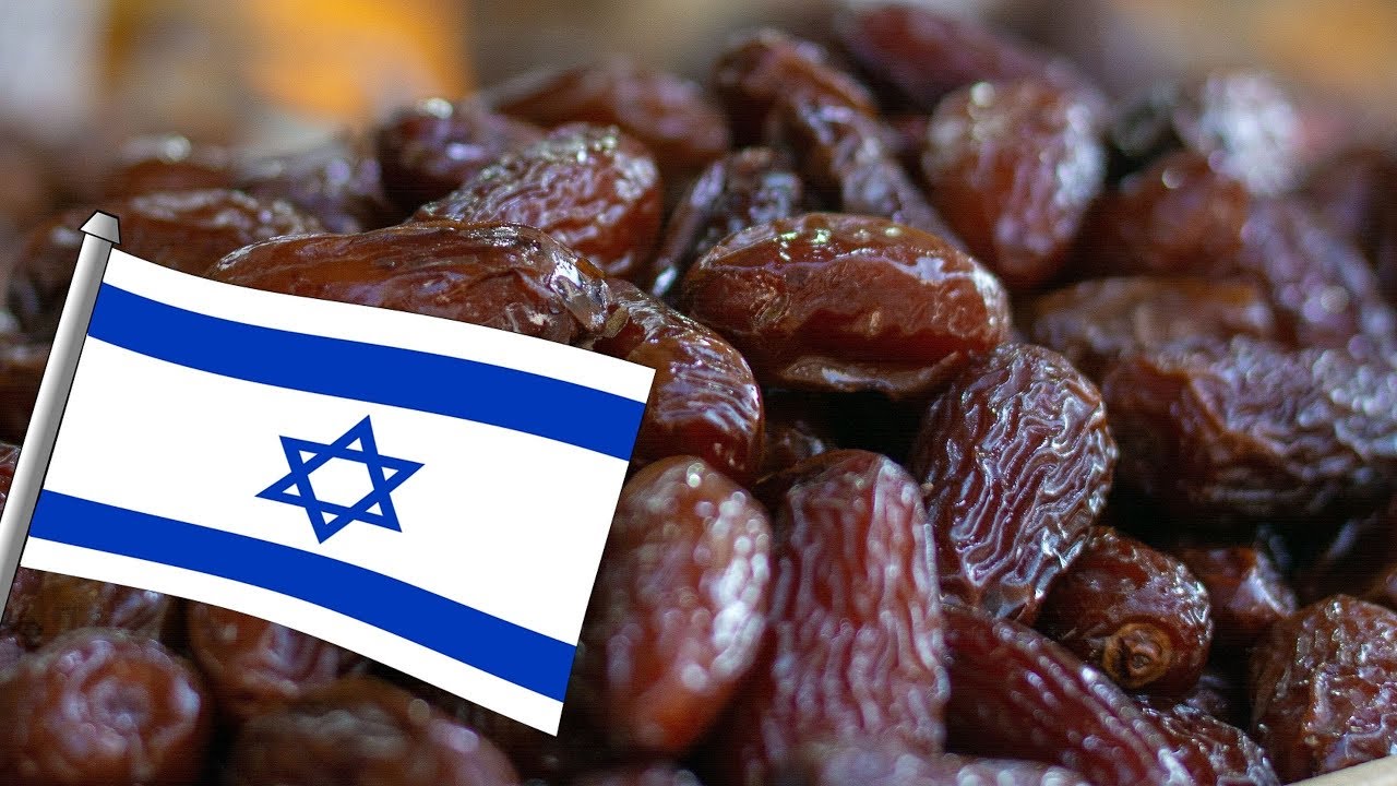 كيف أصبحت إسرائيل دولة عظمى في مجال زراعة النخيل وانتاج التمور؟
