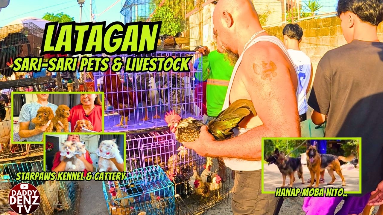 DAGSA MGA TAO DITO NGAYON.. / pt.2 MAR. 6, 2026 @BOCAUE PETS & LIVESTOCK MARKET