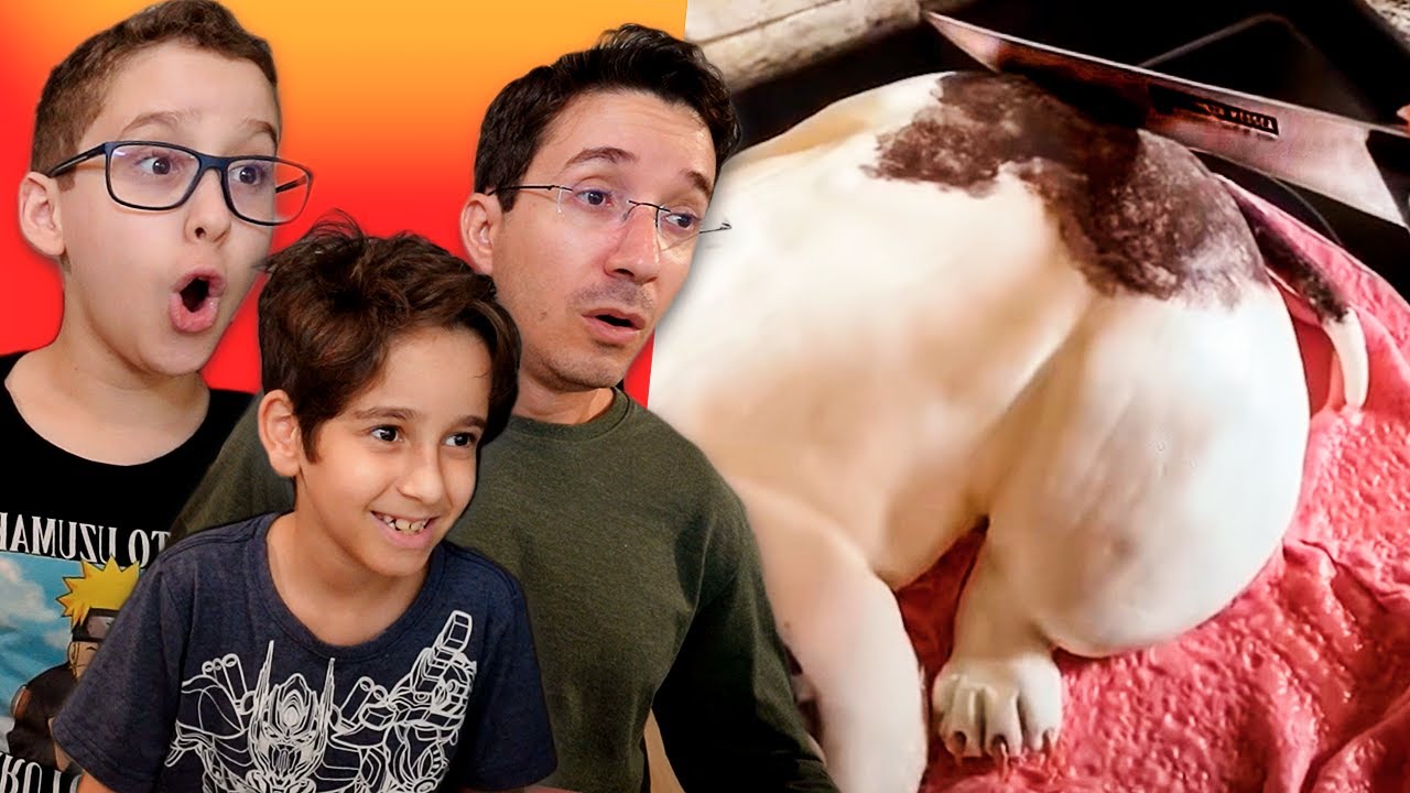 REAL OU BOLO? 🤔 (Vídeo Completo)