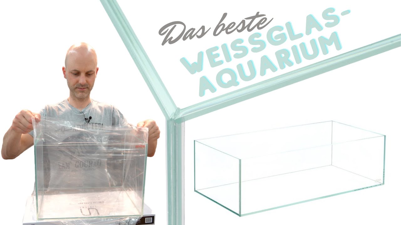 Aquarien aus Weißglas - lohnt sich der Aufpreis? ADA, DOOA, UNS, Oase und Amtra im Vergleich