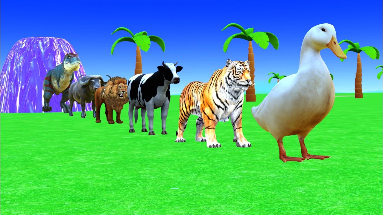 Long slide game with elephant cow gorilla hippopotamus cat 3d animal game 