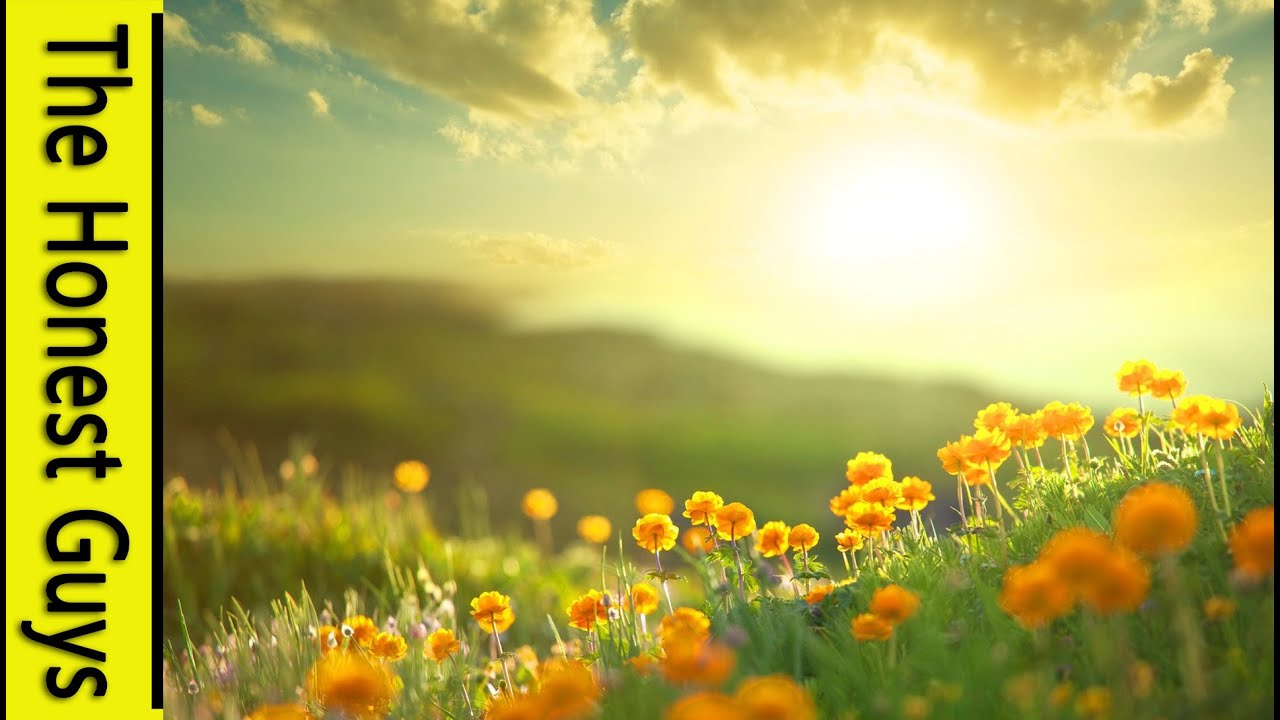 Morning Uplift - YOU ARE AMAZING! - Epic - Uplifting - Healing