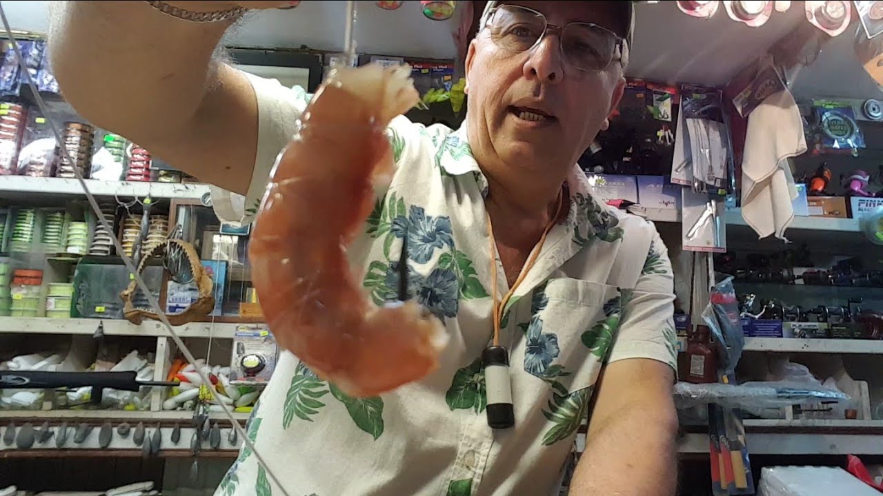 #PIQUE #PESCA COMO SE ENCARNA EL LANGOSTINO Y LAS ANCHOAS PARA LA PESCA DE CORVINAS EN ARGENTINA