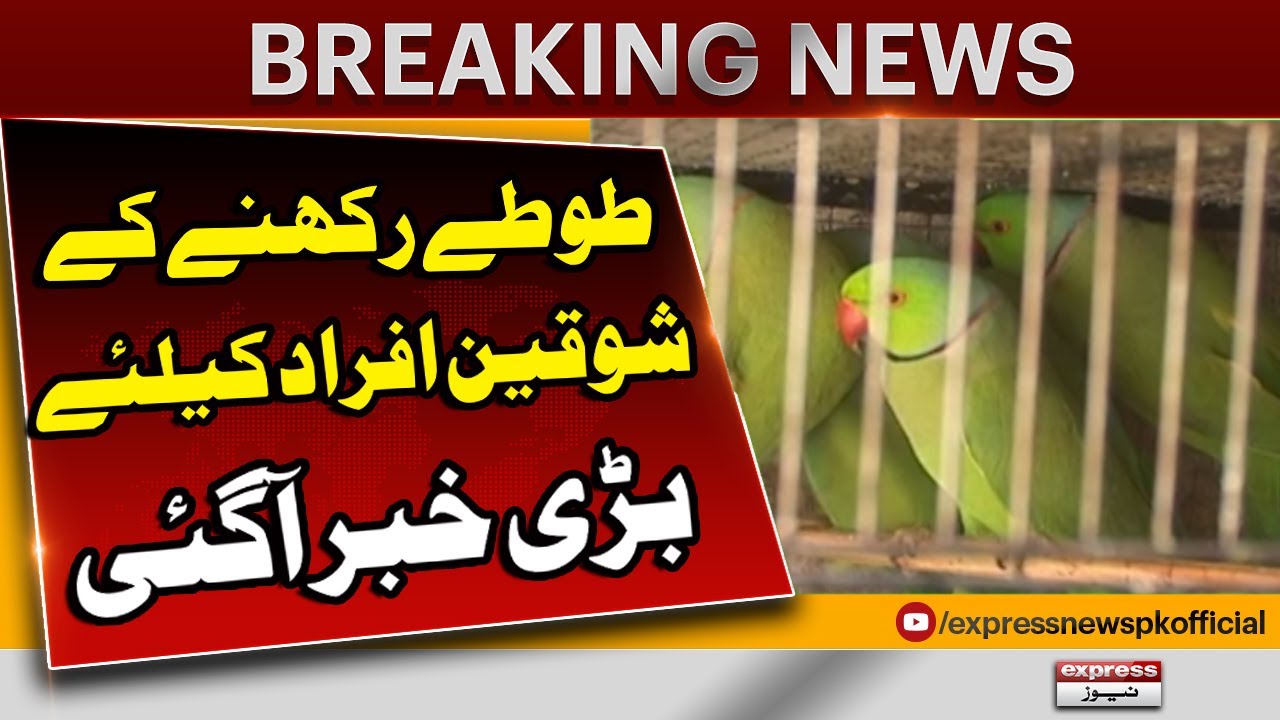 Punjab Makes Parrot Registration Compulsory | Breaking News