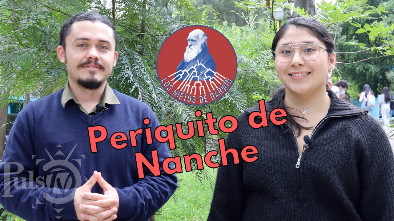 Los Nietos de Darwin | Periquito de Nanche