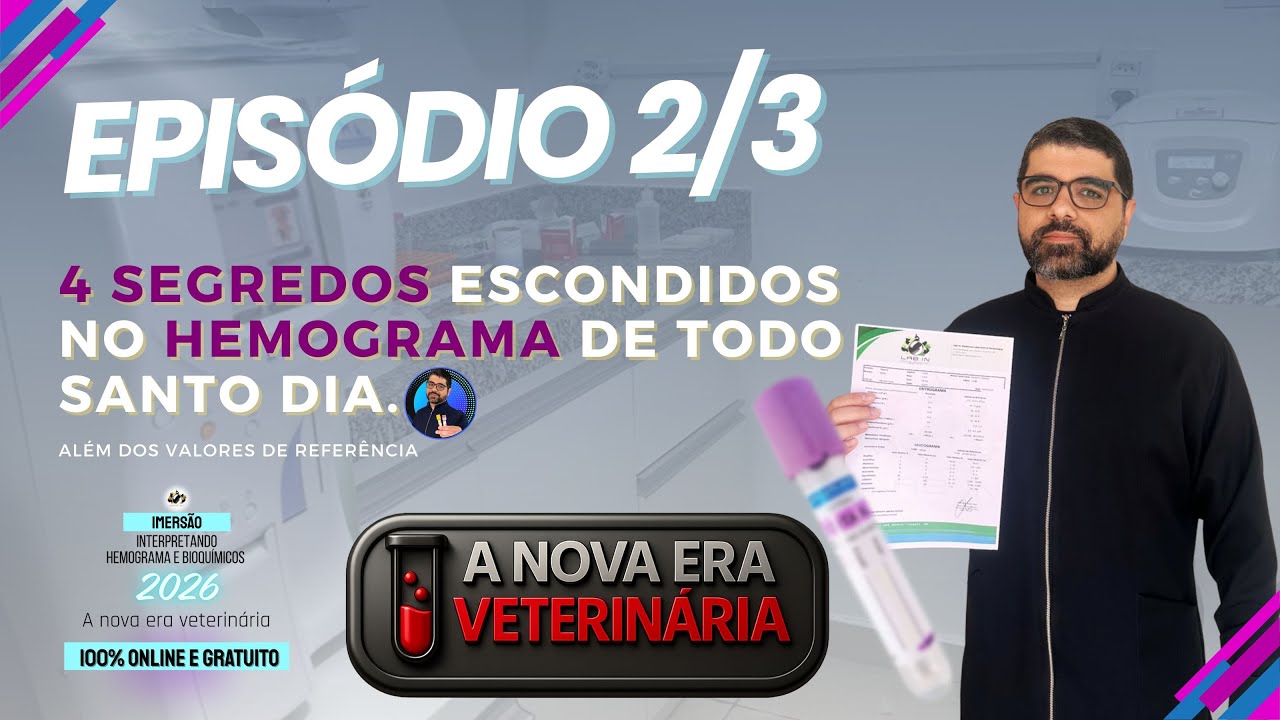 4 SEGREDOS escondidos no HEMOGRAMA de todo santo dia.