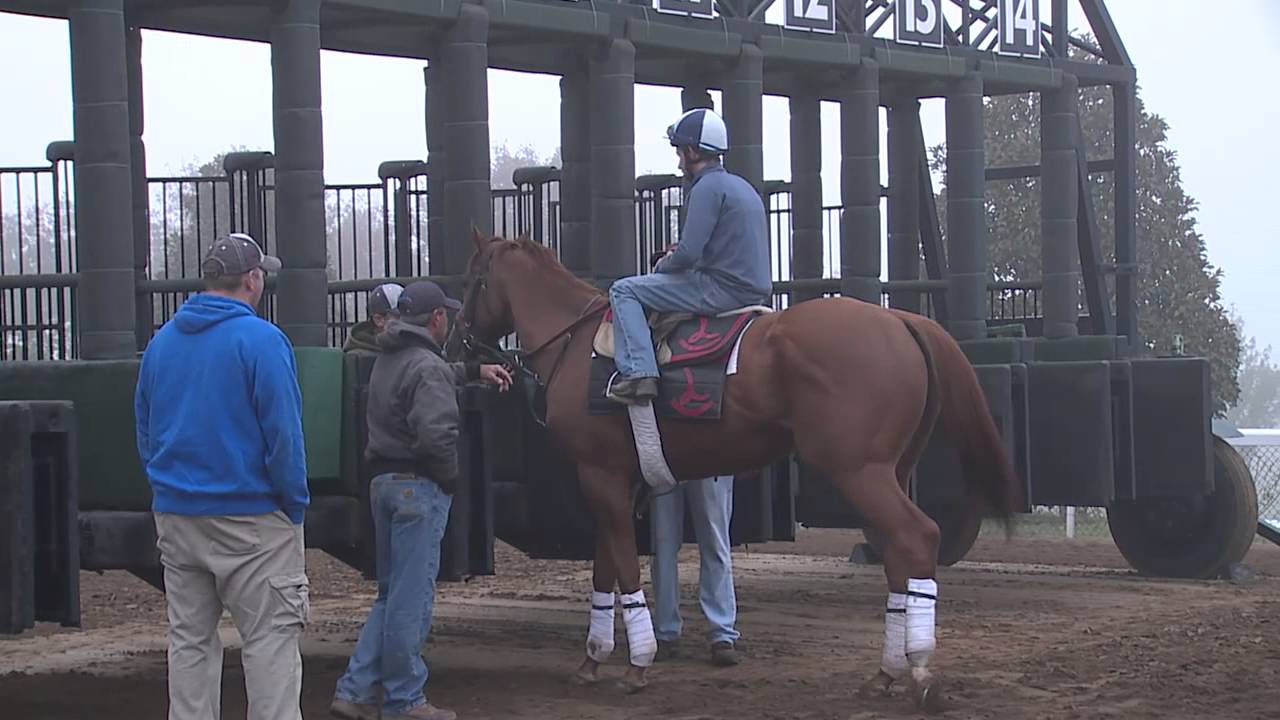 75 Year-Old Keeneland Starter Schools Horses in the Starting Gate