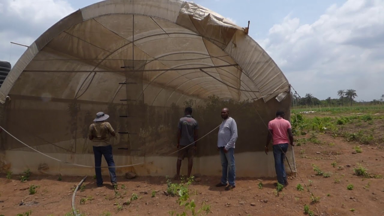 A day at Adunni Farms. Irrigation using solar power