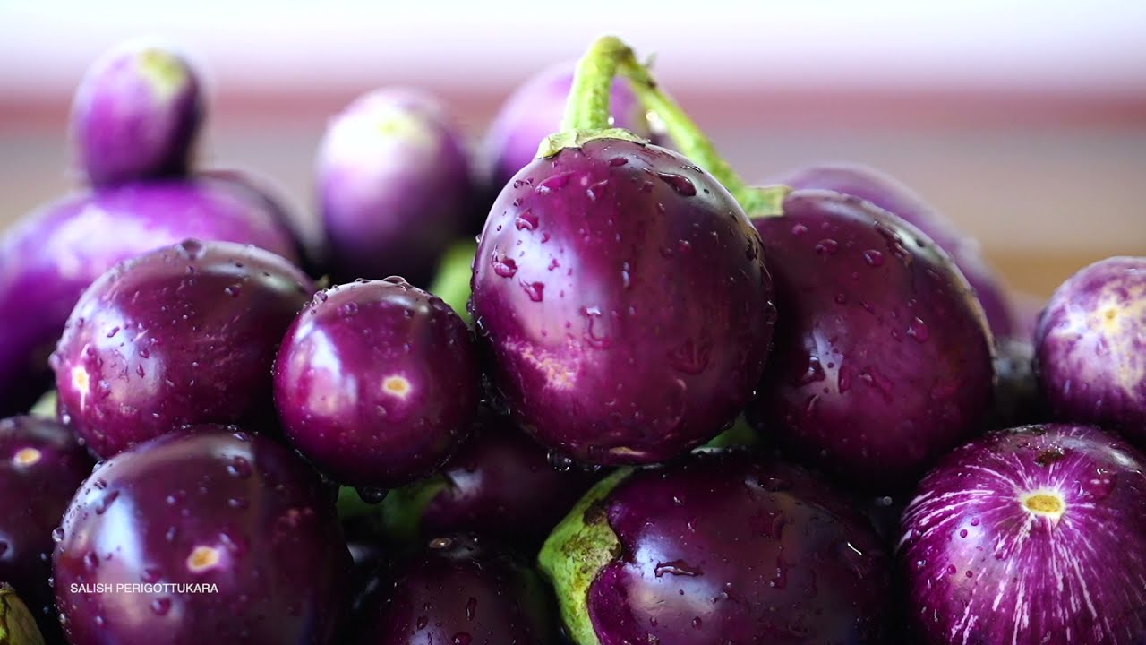 Sarvathobhadram organic vegitables