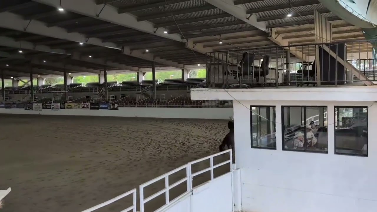 Arabella Clark NCEA Recruitment: Reining