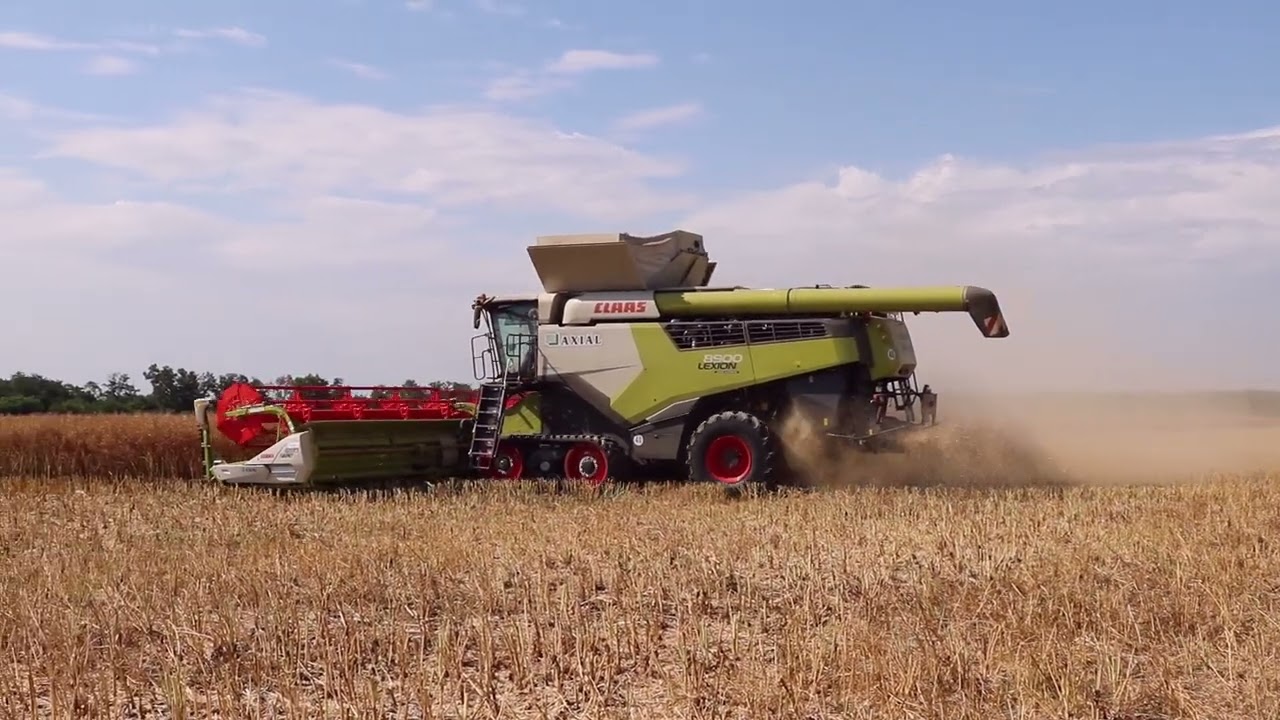 Claas Lexion 8900 3x  Repce aratás Raps Harvest