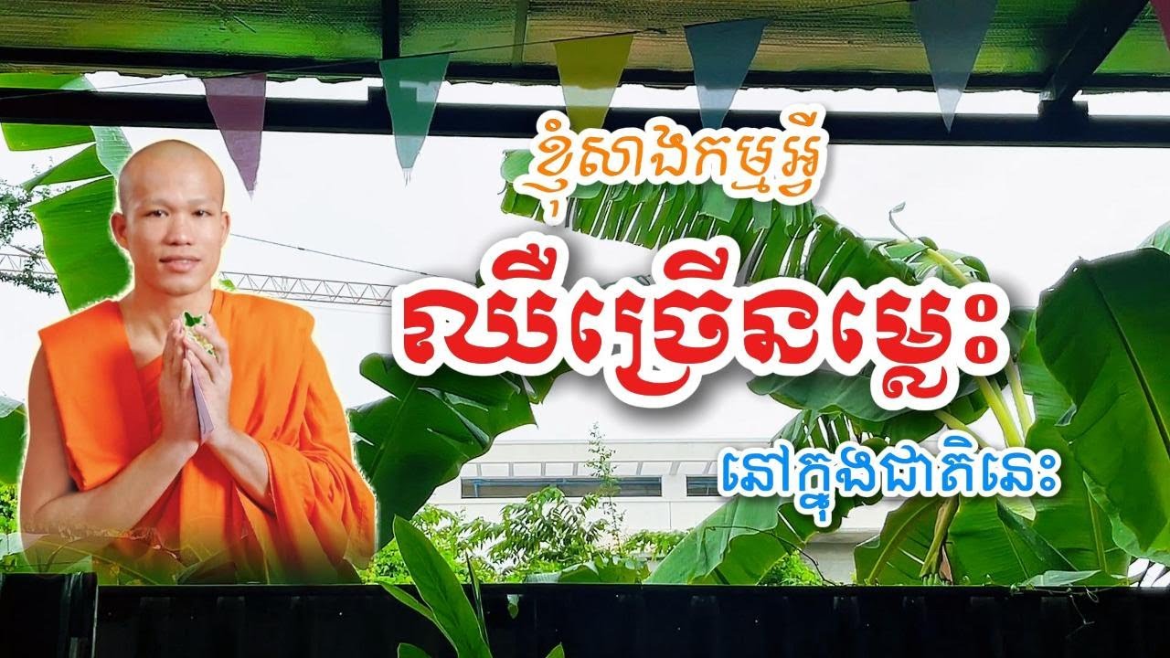 ស្ដាប់ព្រះធម៌ពេលយប់ || ខ្ញុំសាងកម្មអ្វីបានជាតិនេះឈឺច្រើម្លេះ សម្ដែងដោយលោកម្ចាស់គ្រូ ផុន ភក្ដី