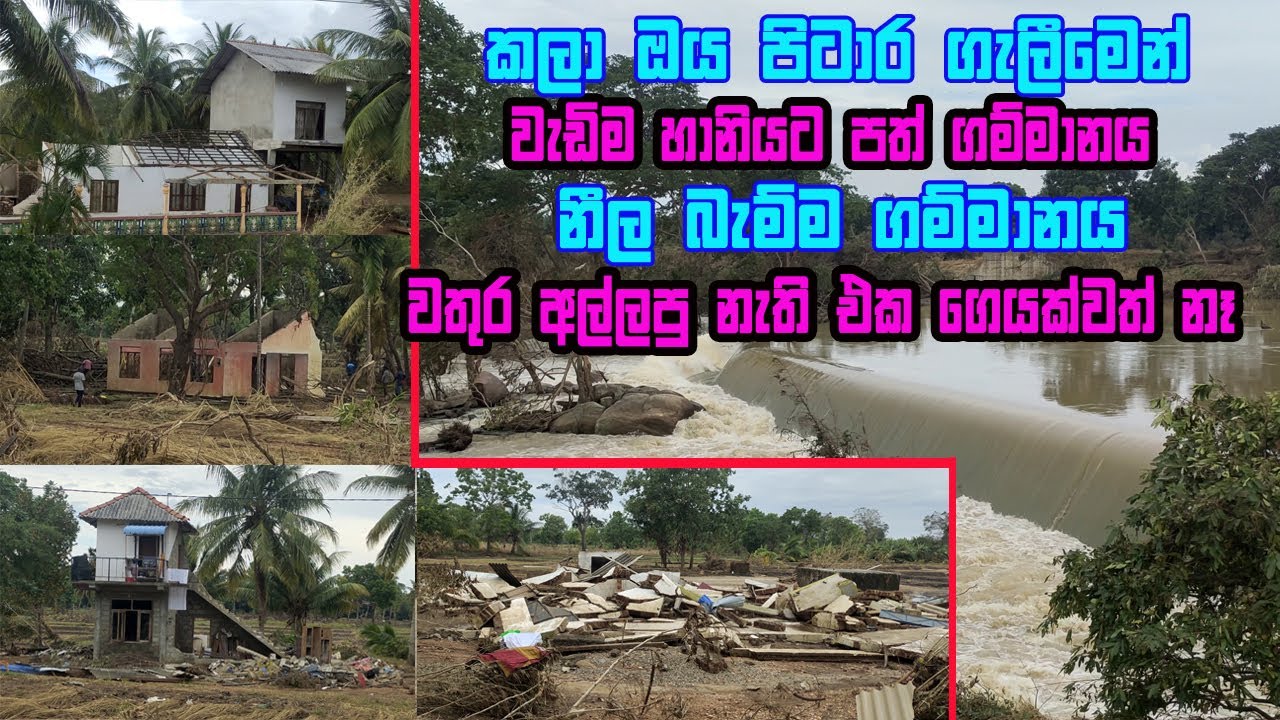 කලා ඔයේ වතුරෙන් හානියට පත් විශාලම ගම්මානය | Neela bamma | gan wasthura | kala oya  | Kala wewa